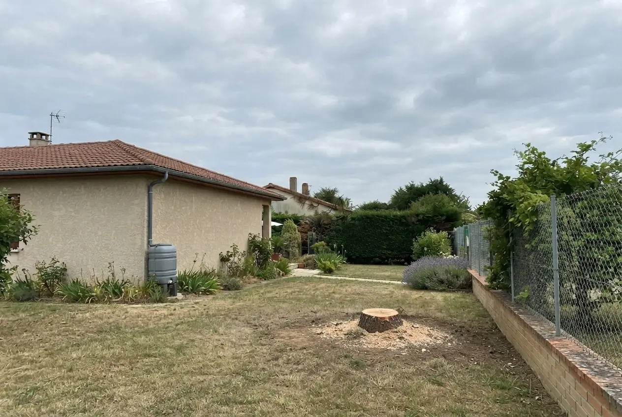 Jardin sécurisé après démontage du pin à Bourg-lès-Valence